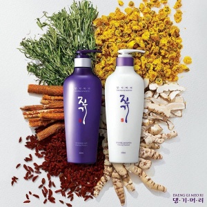 Daeng Gi Meo Ri Vitalizing